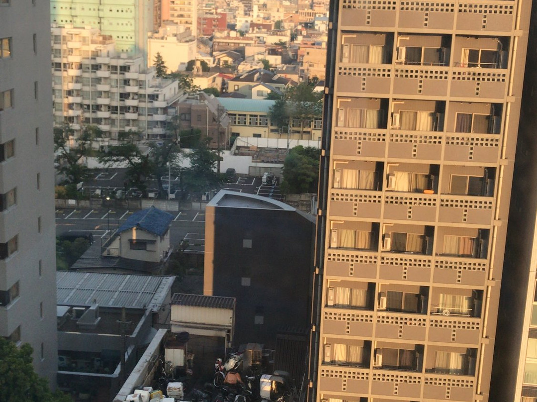 相铁FRESA INN 东新宿站前主图