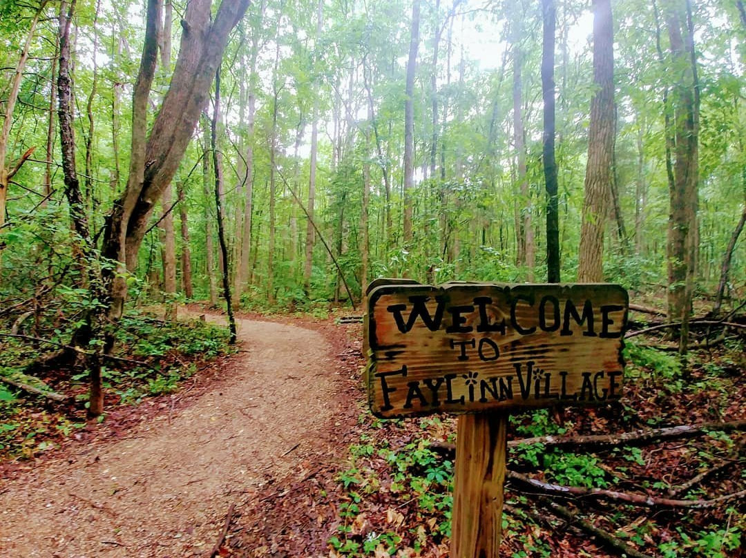 Latta Plantation Nature Center & Preserve景点图片