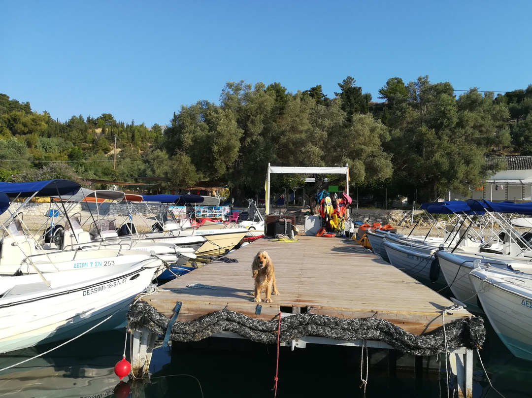 Dessimi Boats