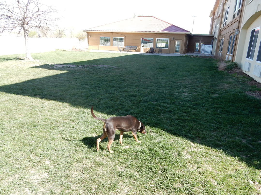 La Quinta Inn & Suites by Wyndham North Platte主图