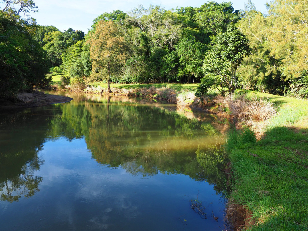 Bonadio's Mabi Wildlife Reserve景点图片