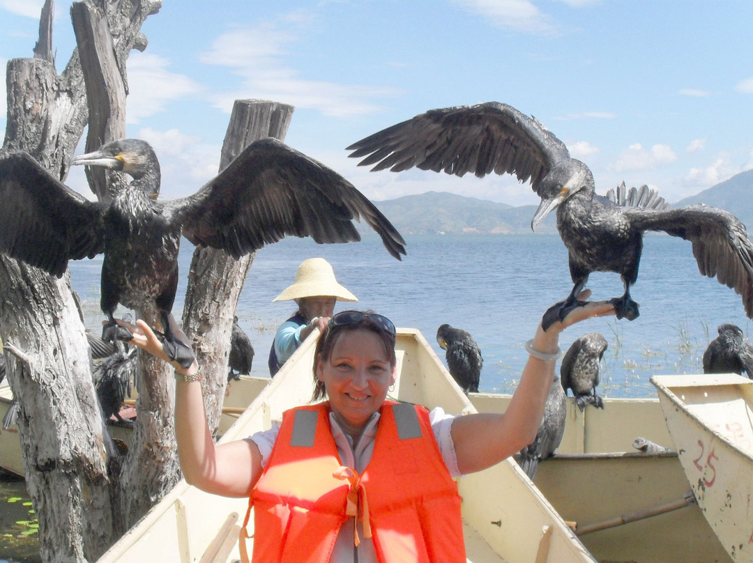 Elysian Tour-西安市必去景点