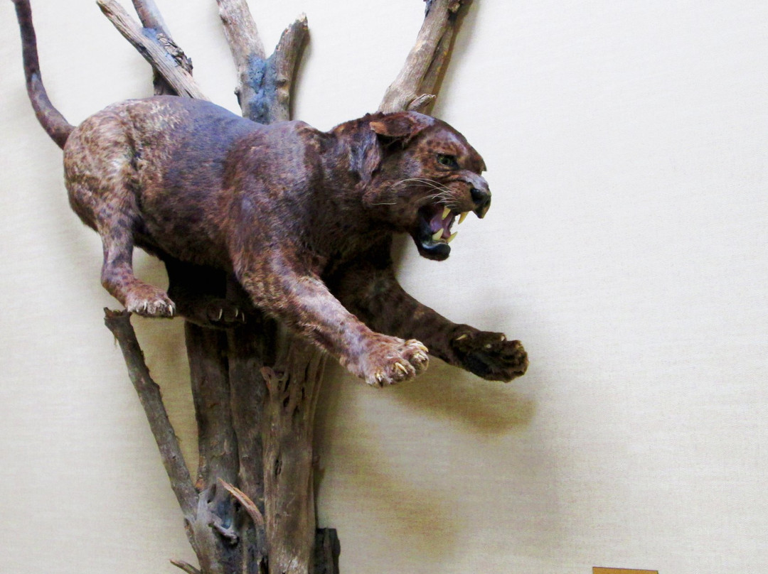 Red River Valley Museum-Vernon必去景点