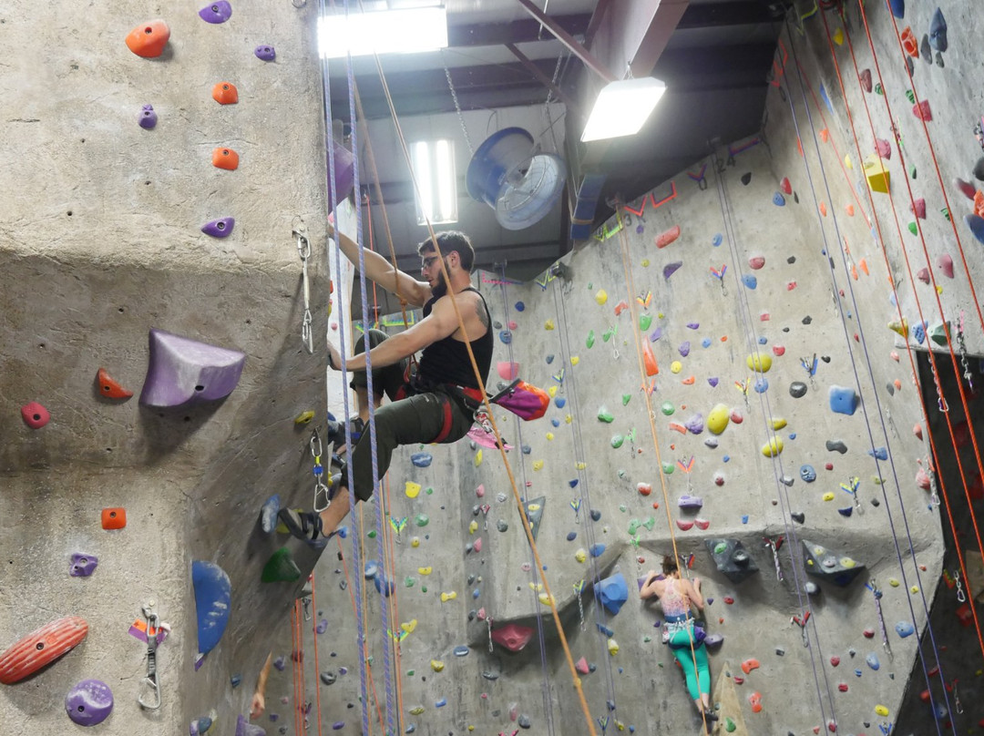 The Rock Club景点图片