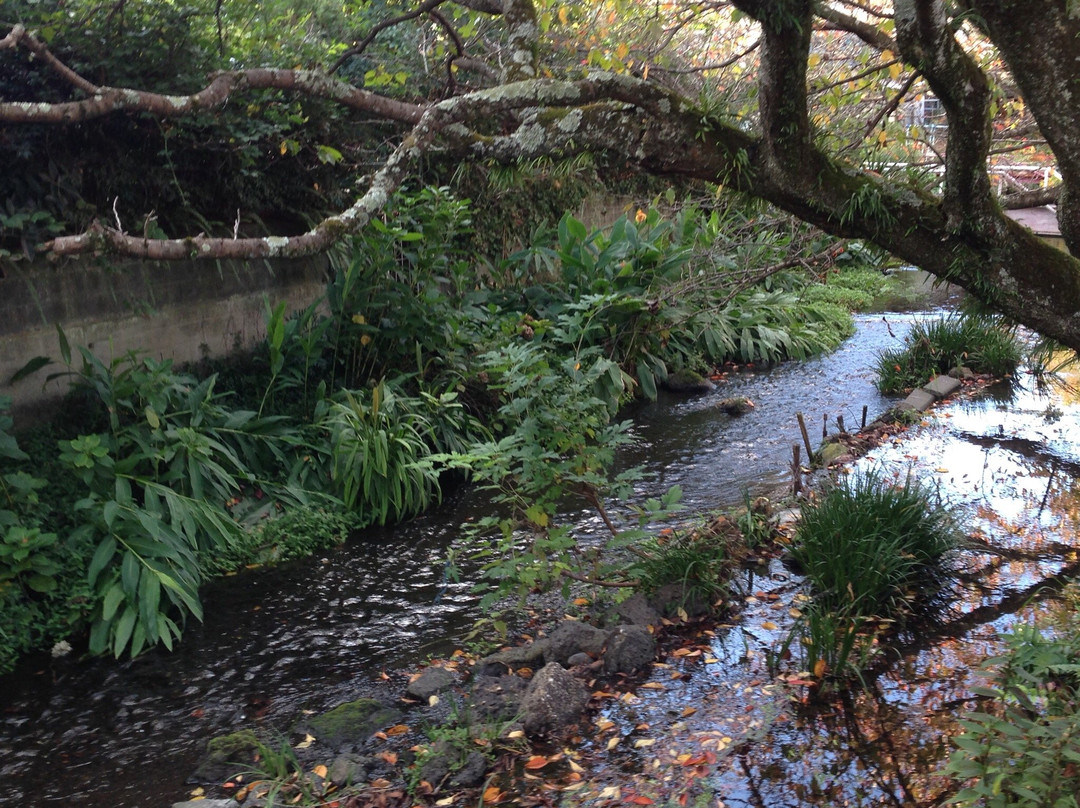 Gempeigawa River景点图片