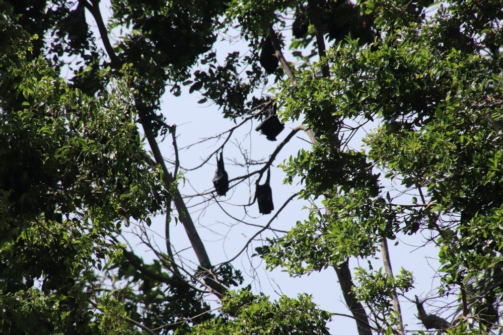 Dan Gleeson Memorial Gardens-Kirwan必去景点