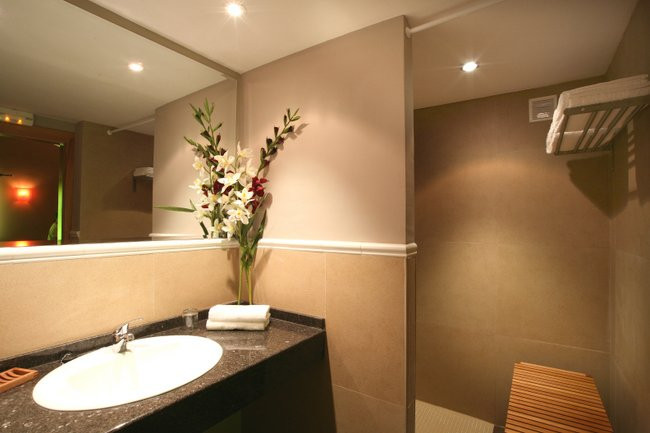 Puente l'Albarda主图