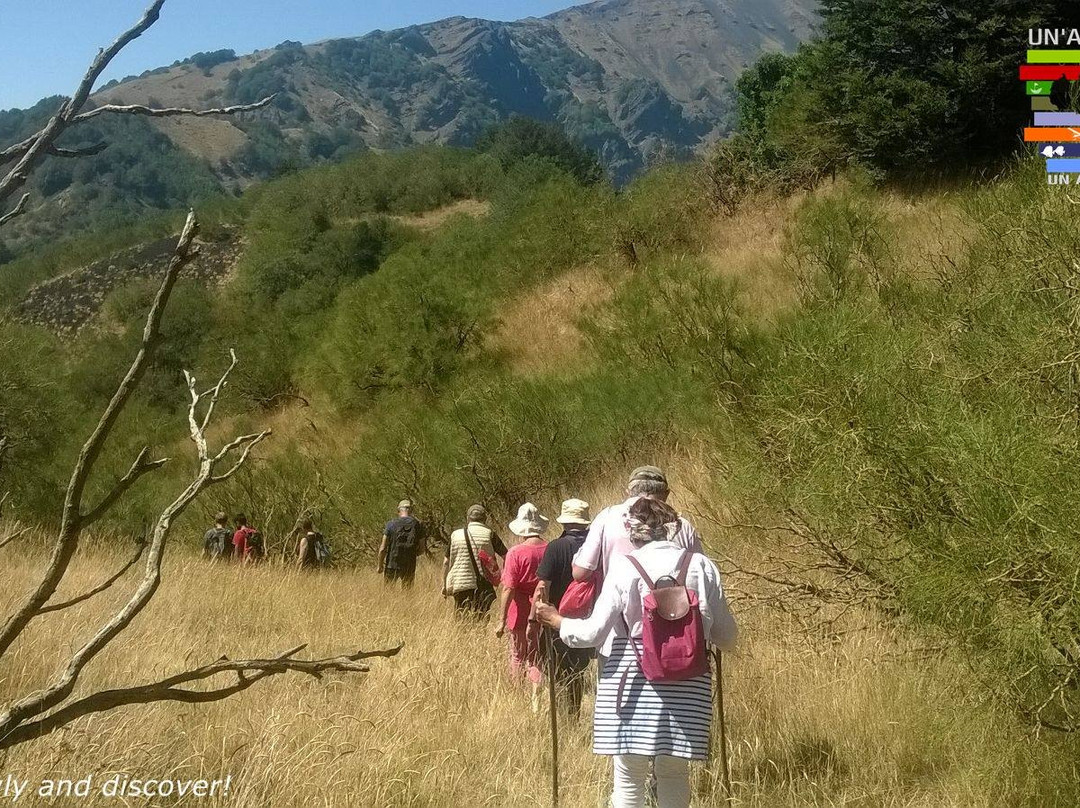 Take it Slowly by Un'Altra Sicilia-Pedara必去景点