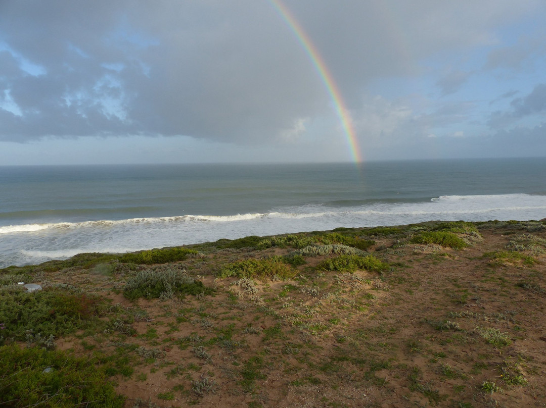 Olo Surf & Nature - Dar Zitoun主图
