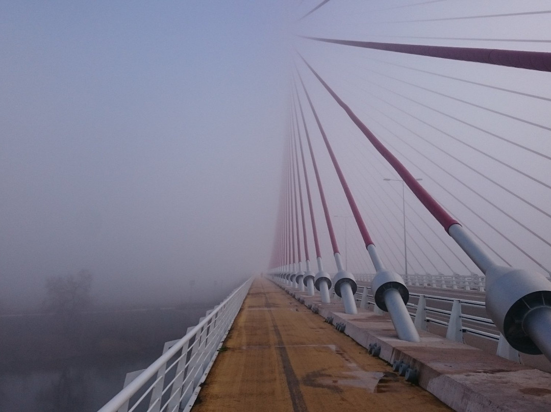 Castilla-La Mancha Bridge景点图片