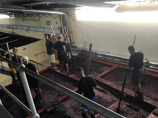 Tuk Tuk Stellies-斯泰伦博斯必去景点