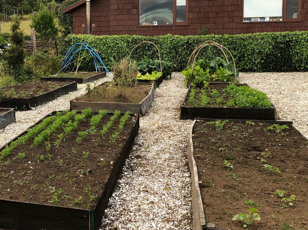 El Quinto Chiloe主图