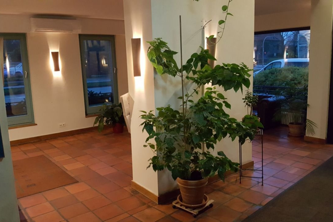 柏灵阿尔贝格酒店主图