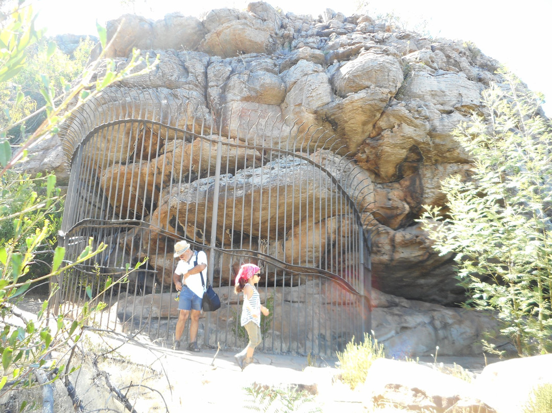 Ngamadjidj Shelter-Laharum必去景点