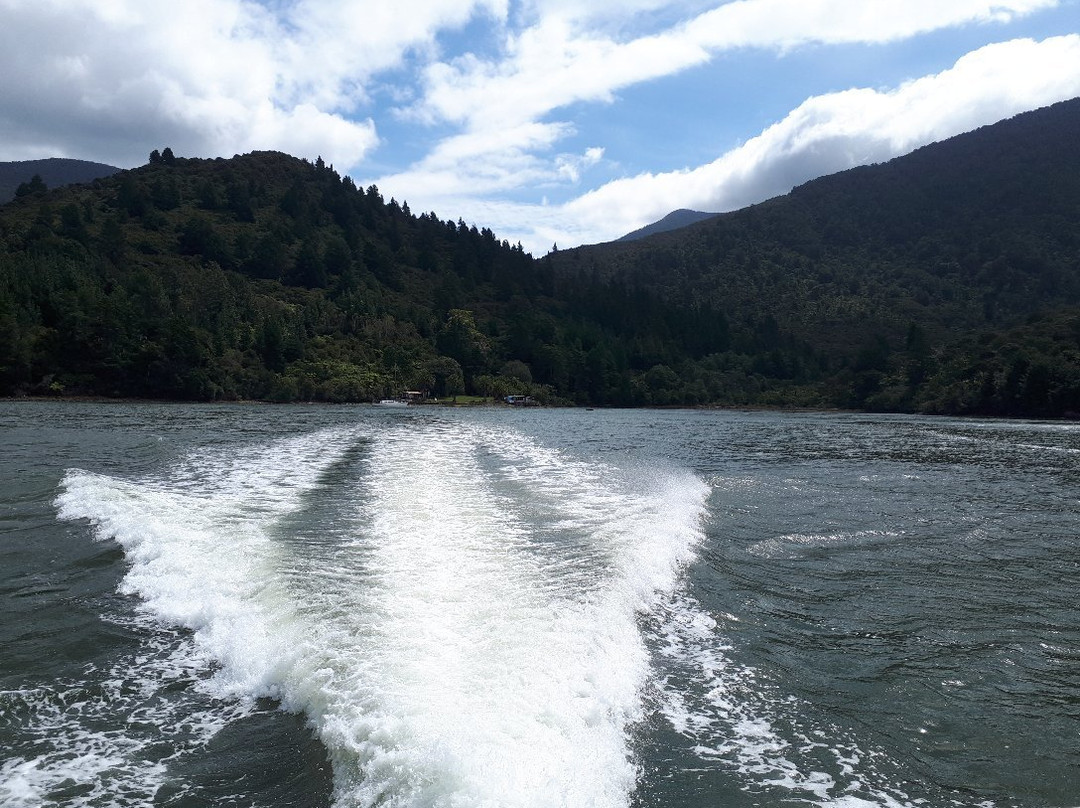 Pelorus Sound Water Taxi & Cruises景点图片