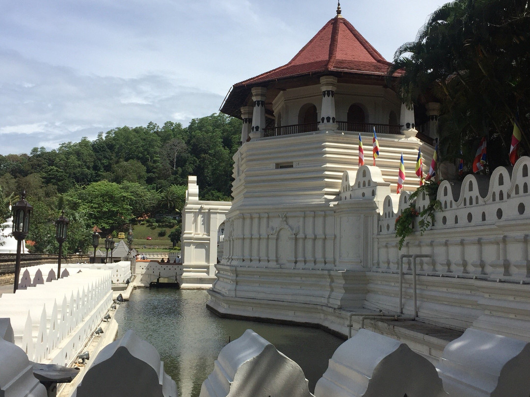 Sri Lanka Car Rentals景点图片