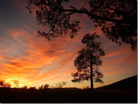 SA Eco Tours-阿德莱德必去景点