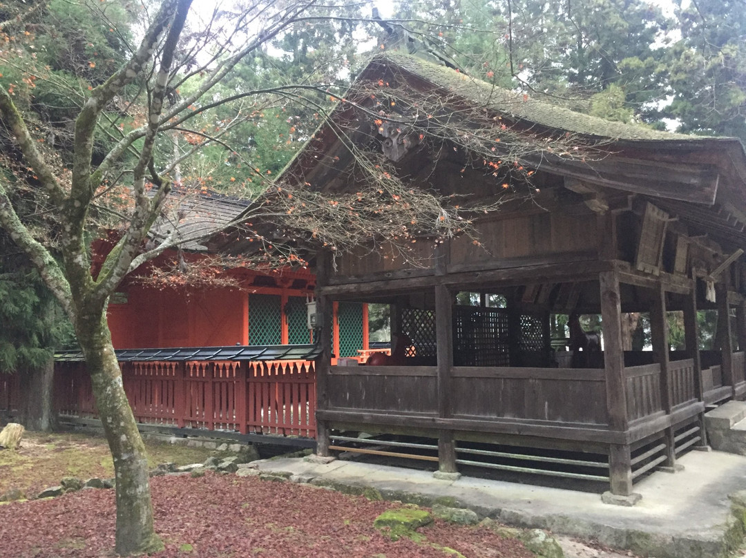 Omoto Shrine-Itsukushima必去景点