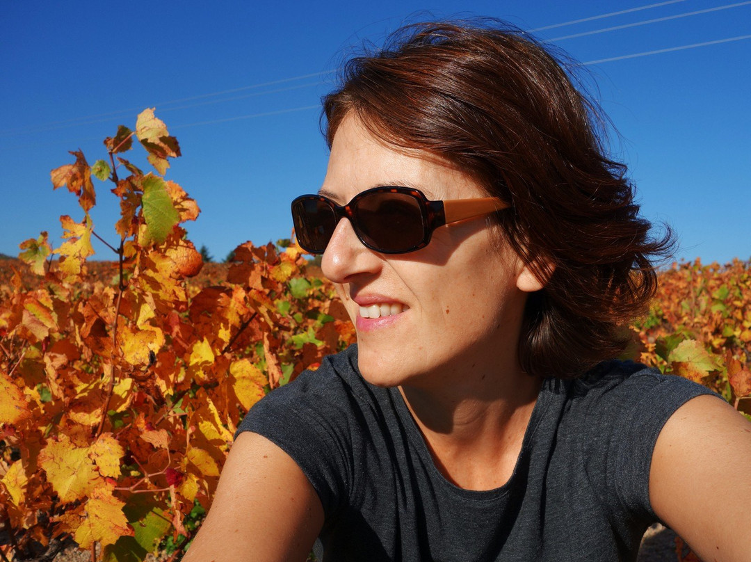 Maison d'Hôtes en Beaujolais主图