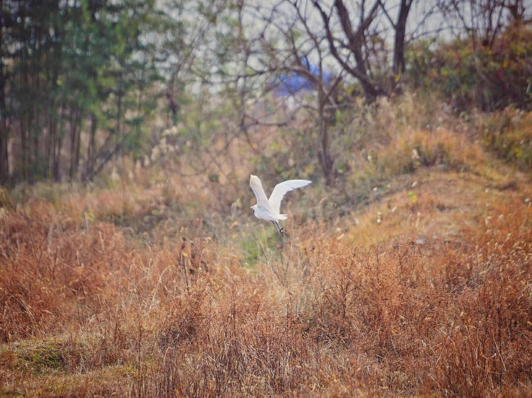 四明湖-余姚市必去景点