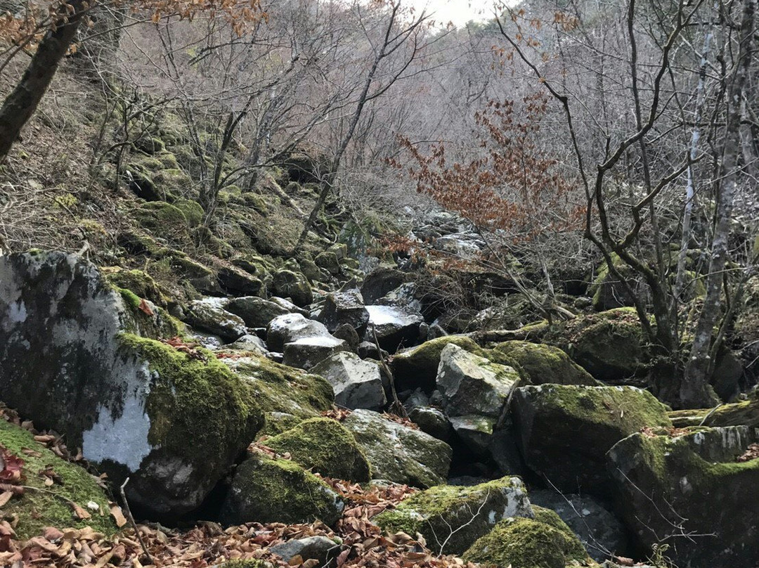 Mt. Ashitaka景点图片