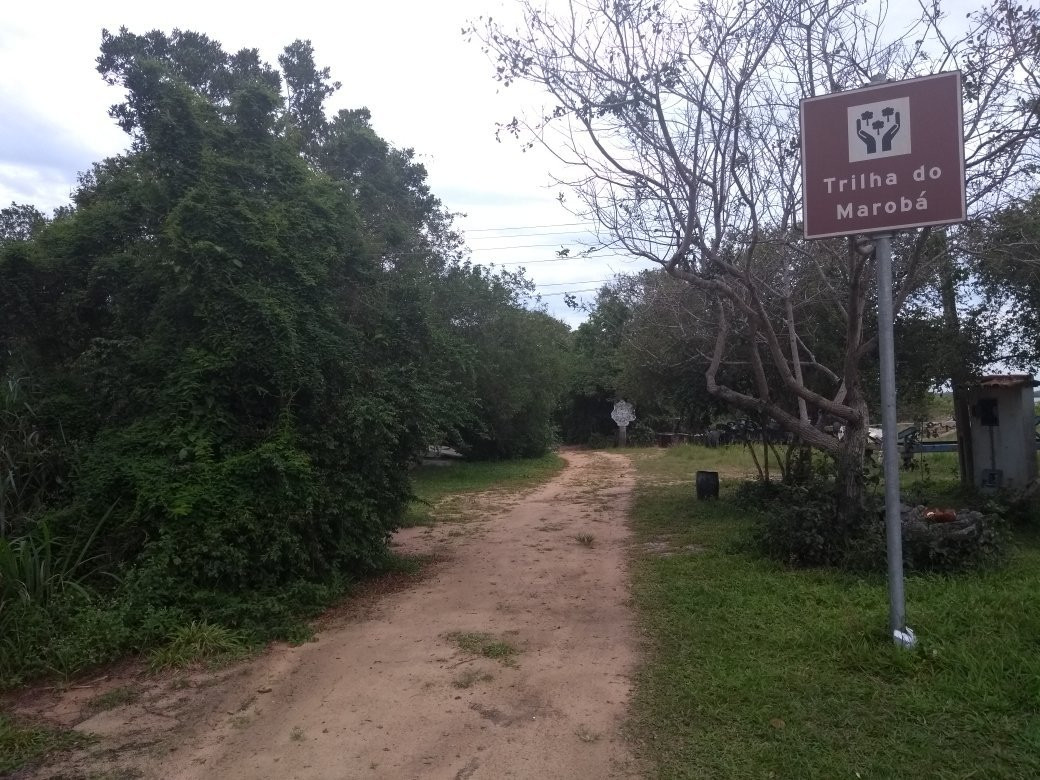 Quitongo Beach-Caravelas必去景点