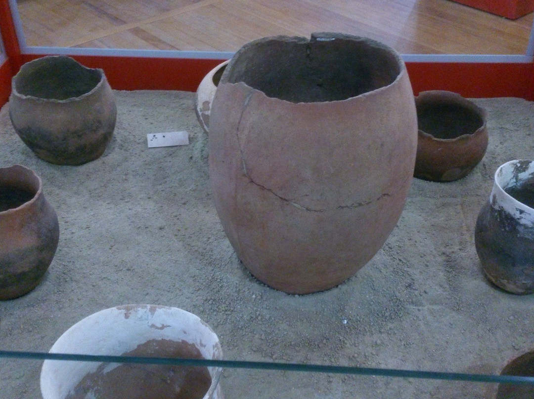 Indigena Antonio Adauto Leite Museum of Archaeology-Carmo Do Rio Claro必去景点