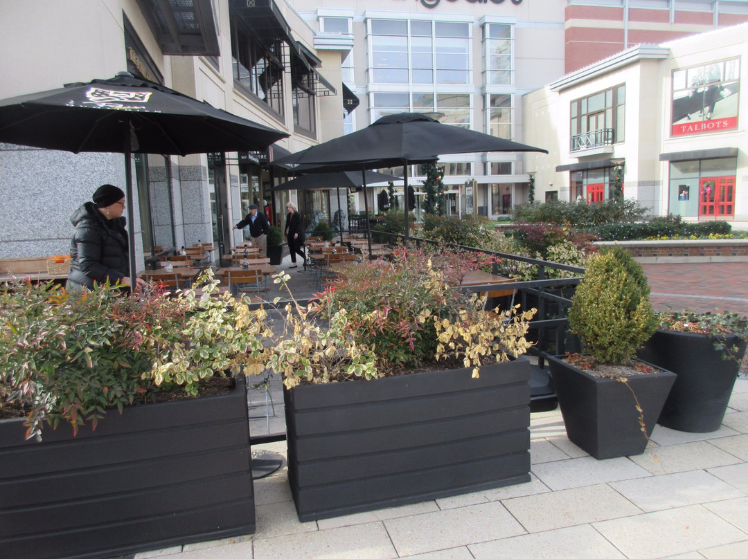 The Shops at Wisconsin Place-Chevy Chase必去景点