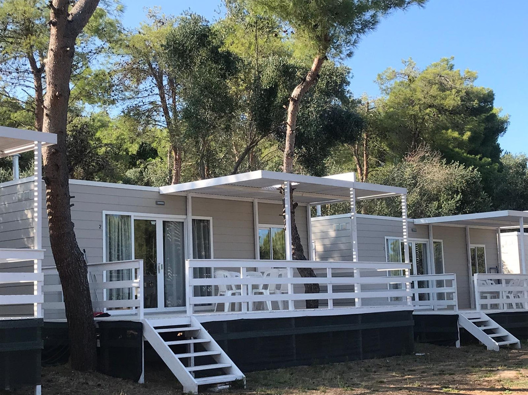 Camping la Scogliera