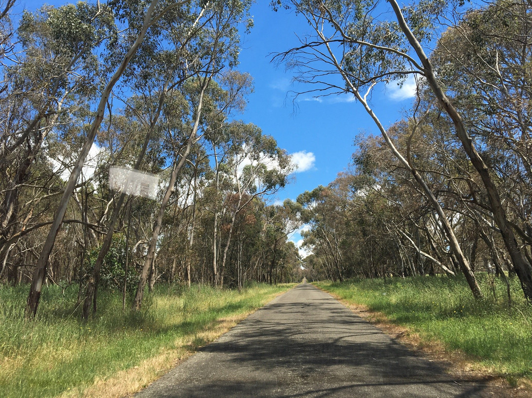 Cavendish旅游景点-Dundas Range Scenic Reserve