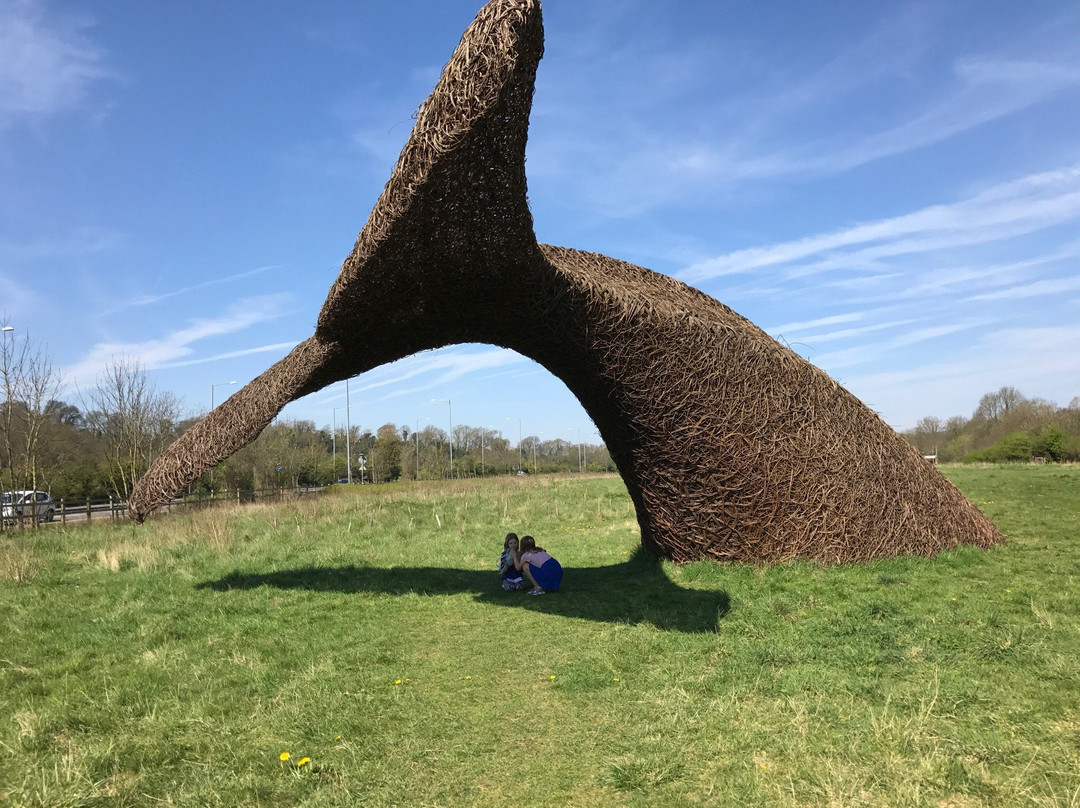 Bennett's Patch and White's Paddock-布里斯托尔必去景点