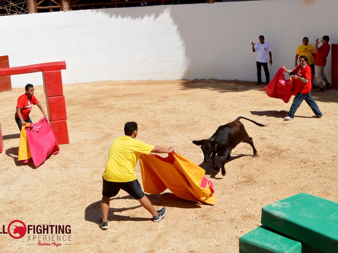Bullfighting Xperience Riviera Maya-从莫雷洛斯港必去景点