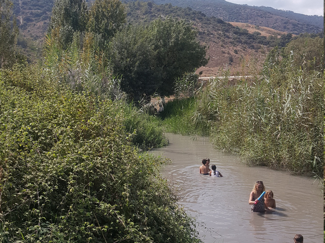 Alroi's Spring-Kiryat Tivon必去景点