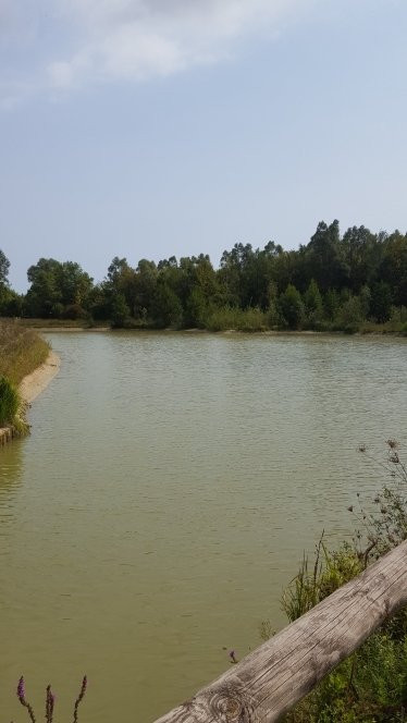 Bosco di Mestre - Bosco dell'Osellino-麦斯特必去景点