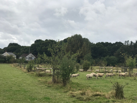 Woodlands Farm Trust-Welling必去景点