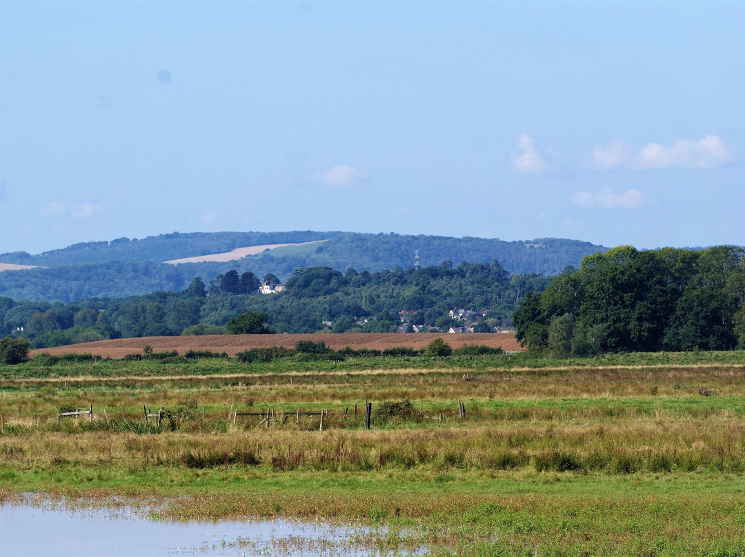 Pulborough Brooks RSPB景点图片