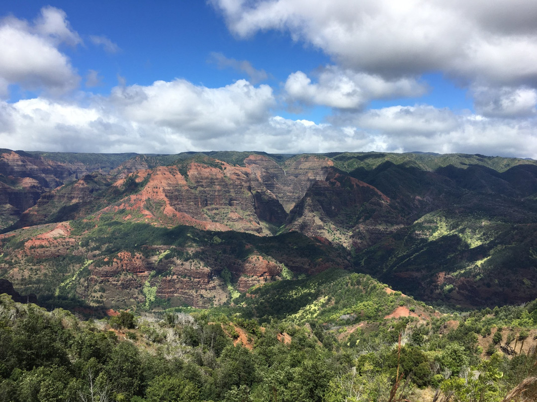 Iliau Nature Loop Trail-威美亚必去景点