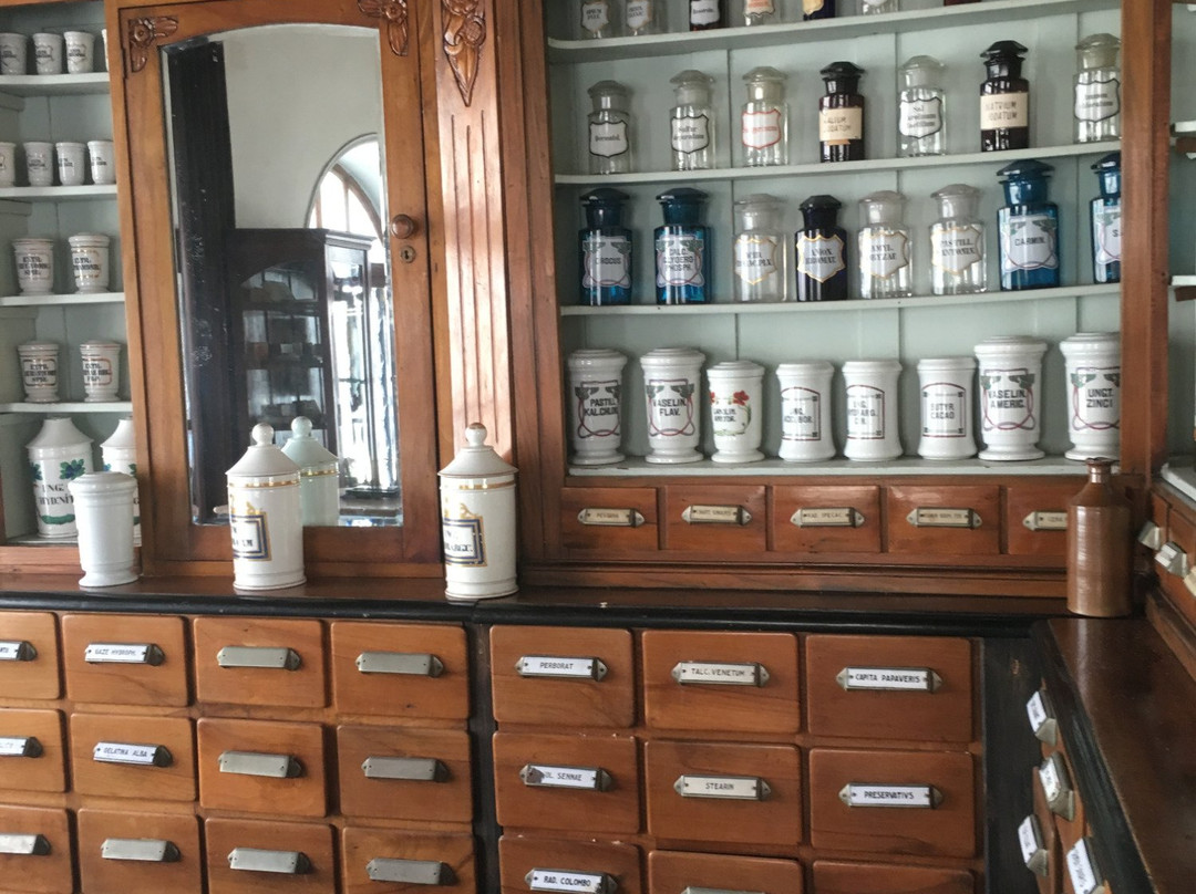 Museum of the History of Medicine-瓦尔纳必去景点