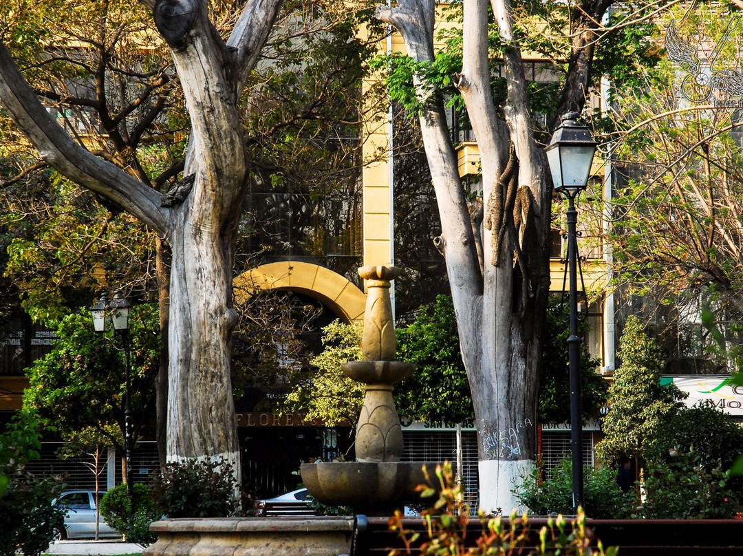 塔里哈旅游景点-Plazuela Sucre