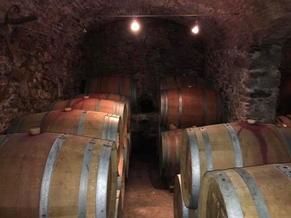 Celler Can Sais-Vall-Llobrega必去景点