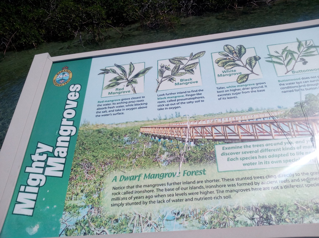 Bonefish Pond National Park-拿骚必去景点