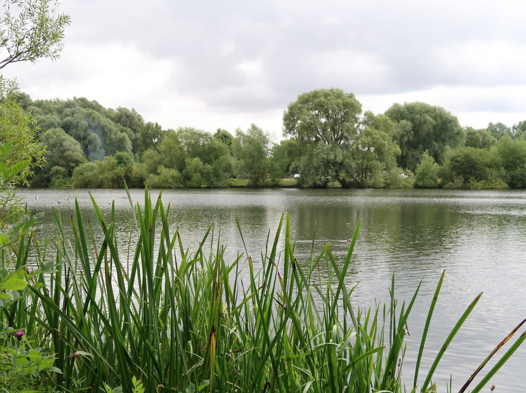 Emberton Country Park景点图片