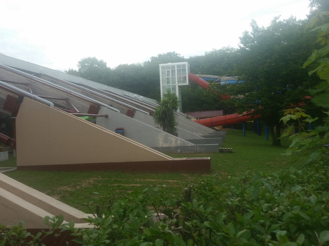 Piscine Olympique Alfred Nakache景点图片