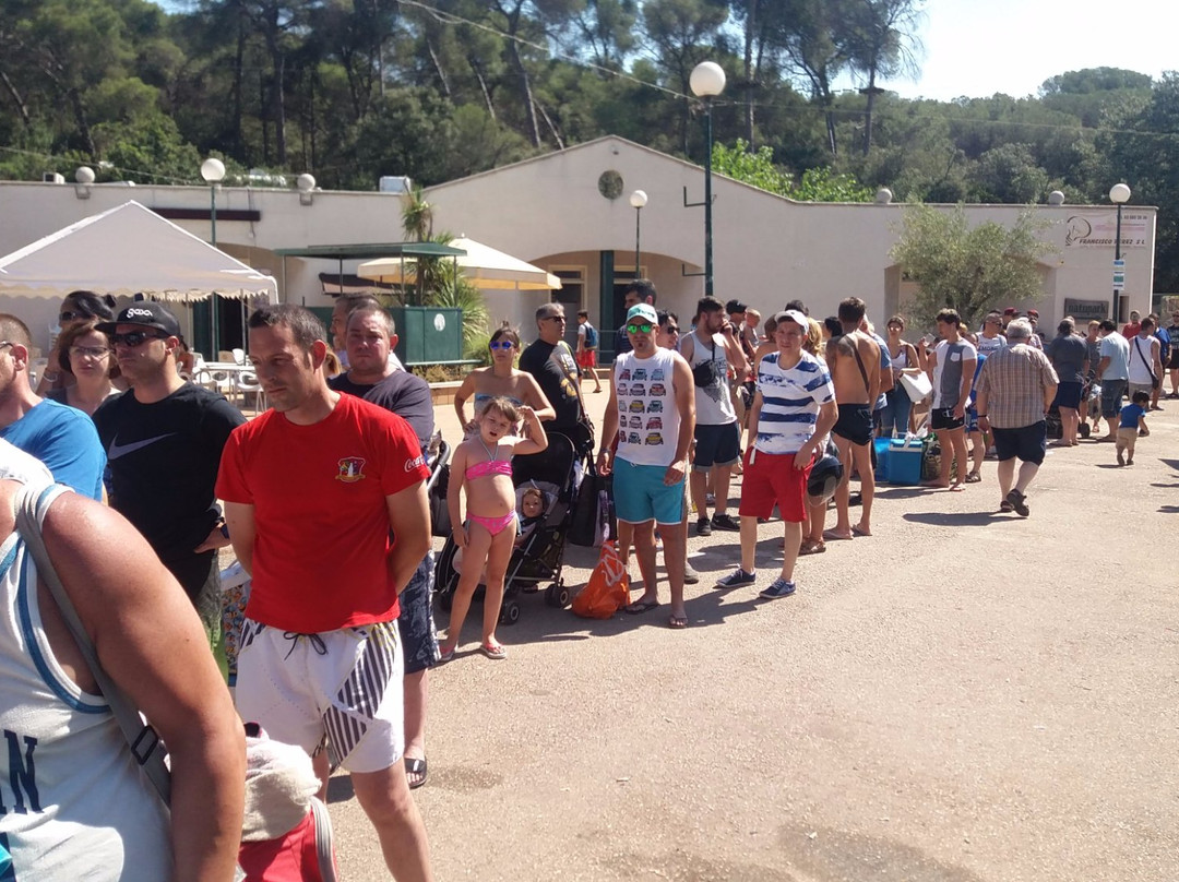 Bosc Tancat-塞尔达尼奥拉德尔瓦列斯必去景点