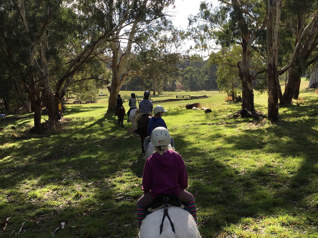 Kirby Park - Megan Jones Riding School景点图片