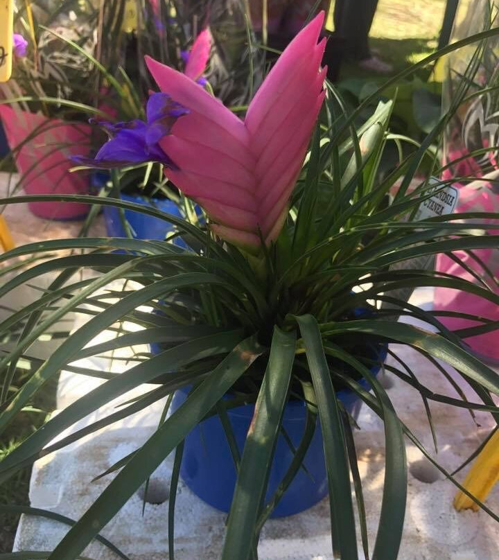 Harbourside Markets-科夫斯港必去景点