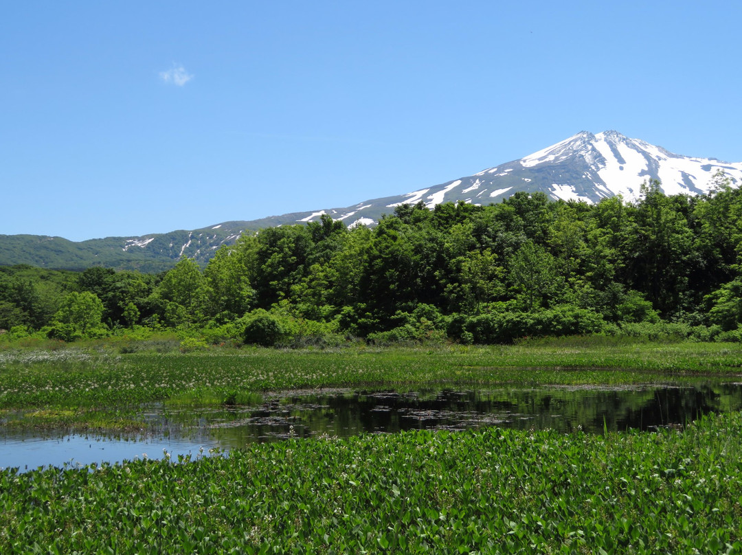 Kuwanokidai Wetland景点图片