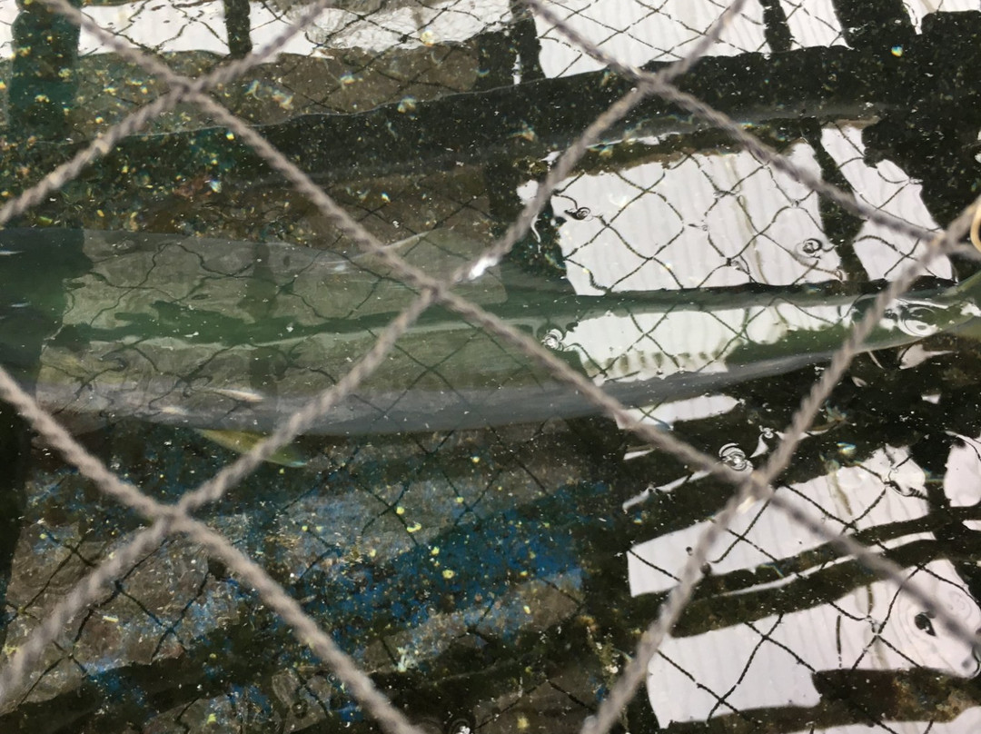 渔场之宿 Hattori主图