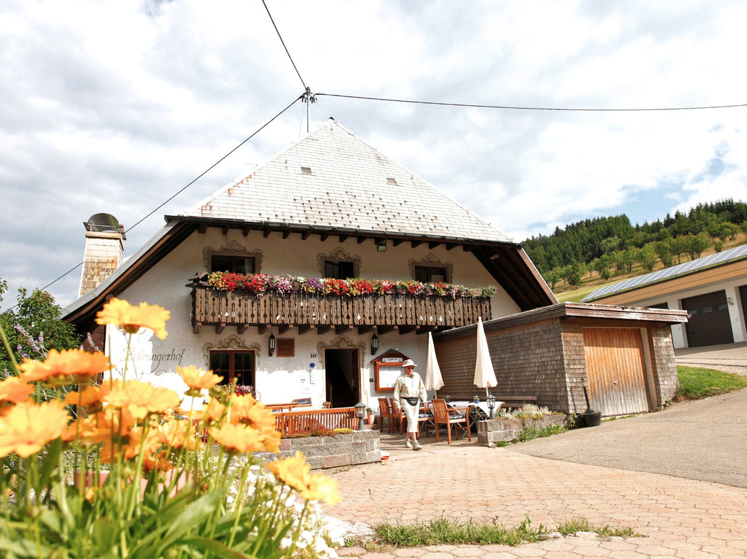 Zaehringer Hof