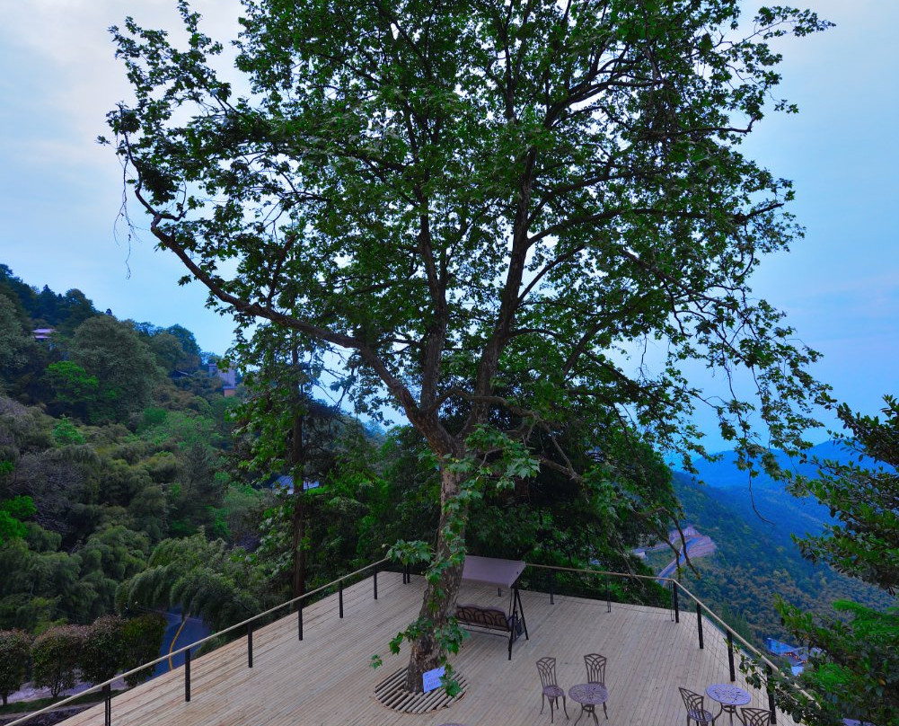 莫干山金茂天籁之梦度假酒店主图